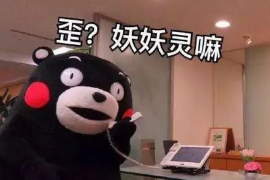 巴音郭楞债务清欠服务